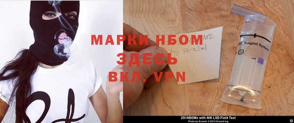 трава Осинники