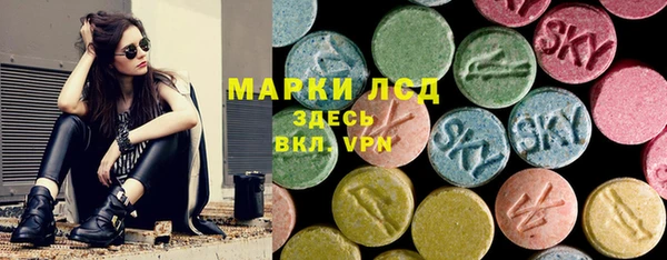 трава Осинники