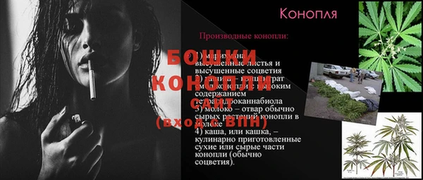 трава Осинники